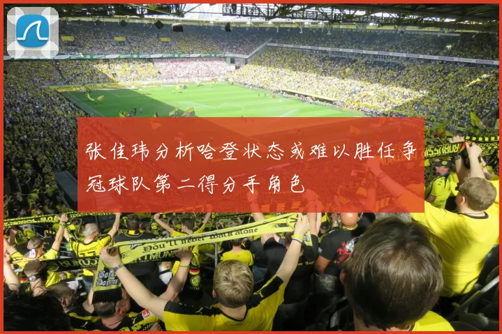 张佳玮分析哈登状态或难以胜任争冠球队第二得分手角色